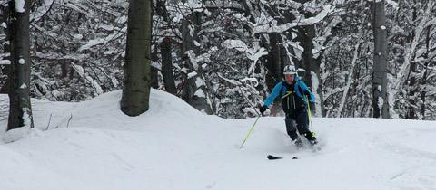 Skialp areál nad Hrobem – výstupová trasa Teplická naučí otočky v lese