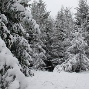 Vrchol Giguly byl v prosinci 2018 zasypán sněhem 