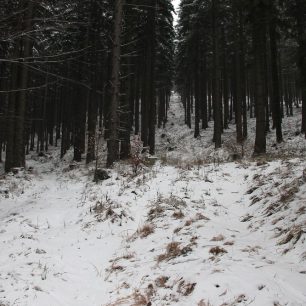 V prosinci bylo sněhu trochu méně nad Vlčím sedlem