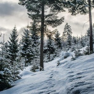 Skialpová túra na Adambaueralm poblíž Wildalpenu, rakouské Alpy.