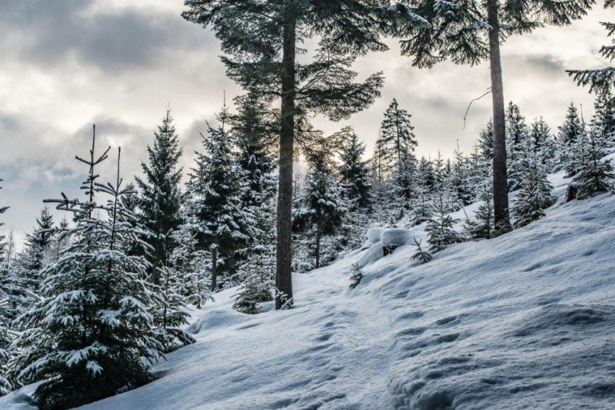 Skialpová túra na Adambaueralm poblíž Wildalpenu, rakouské Alpy.