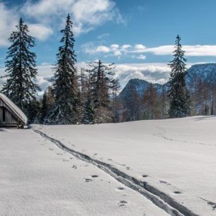 Mýtina se zasněženými salašemi Adambaueralm je cílem lehčího skialpového výšlapu poblíž Wildalpenu v rakouských Alpách.