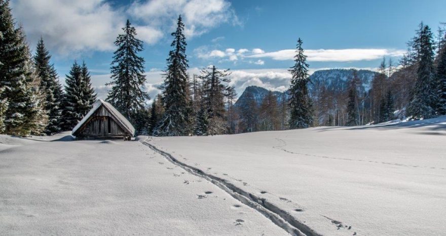 Mýtina se zasněženými salašemi Adambaueralm je cílem lehčího skialpového výšlapu poblíž Wildalpenu v rakouských Alpách.