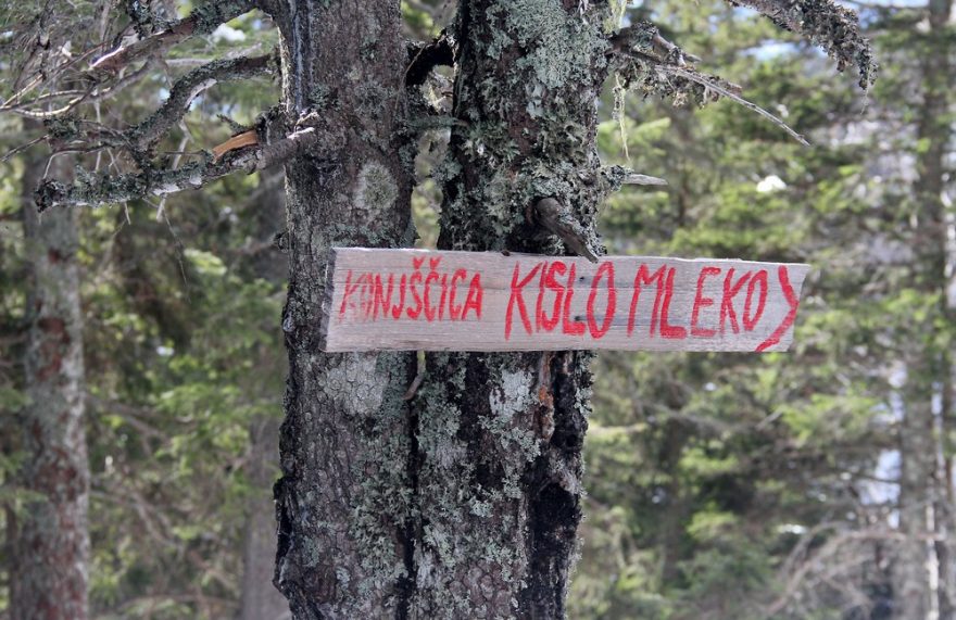 Odbočka za kislo mleko vede dolů, na skialpech jdeme přímo vzhůru