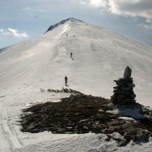 Hřebenovka Govedarniku