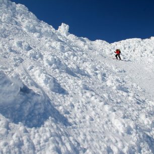 Pole přemrzlých květáků těsně pod vrcholem Korjakského