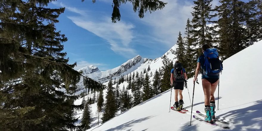 Z lesa na volné pláně k vrcholu Hochstadl